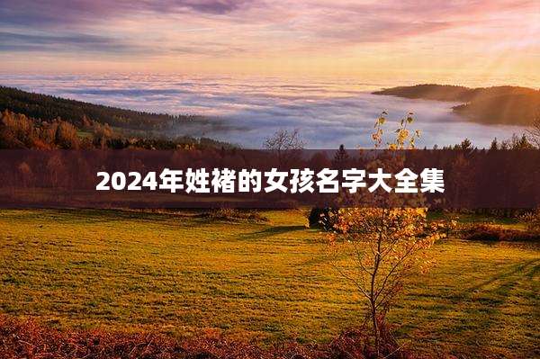 2024年姓褚的女孩名字大全集