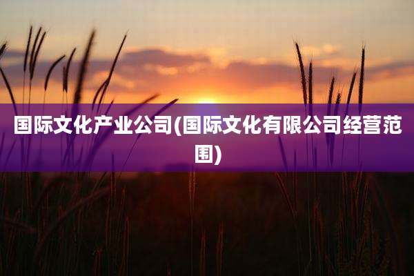 国际文化产业公司(国际文化有限公司经营范围)