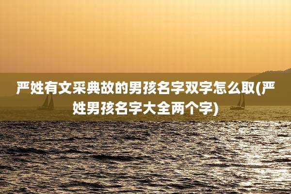 严姓有文采典故的男孩名字双字怎么取(严姓男孩名字大全两个字)