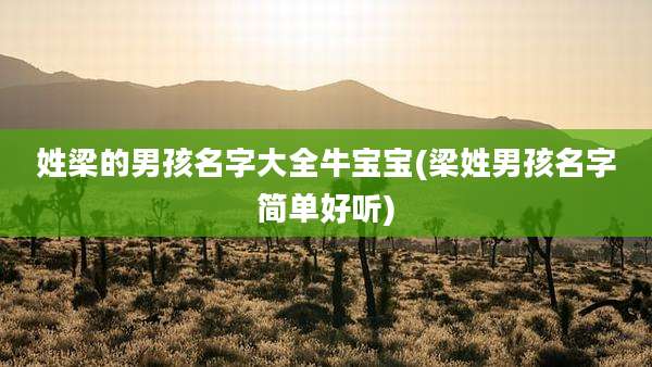 姓梁的男孩名字大全牛宝宝(梁姓男孩名字简单好听)