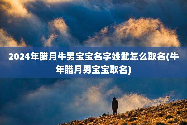 2024年腊月牛男宝宝名字姓武怎么取名(牛年腊月男宝宝取名)