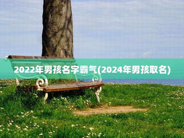 2022年男孩名字霸气(2024年男孩取名)