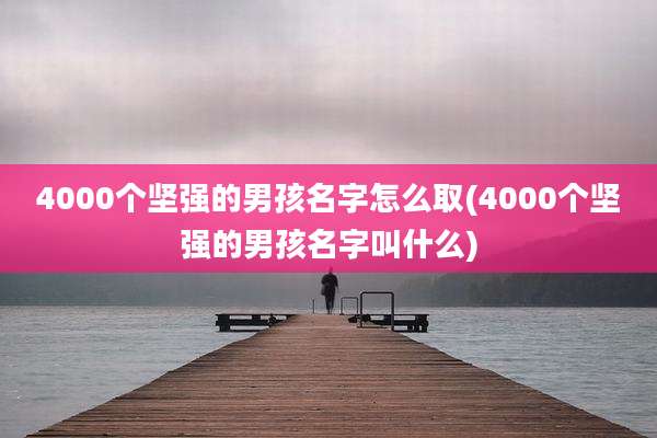 4000个坚强的男孩名字怎么取(4000个坚强的男孩名字叫什么)