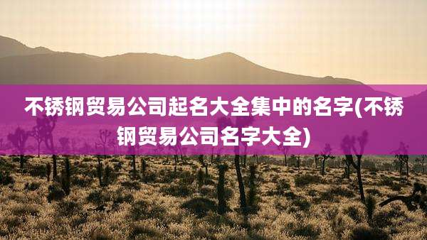 不锈钢贸易公司起名大全集中的名字(不锈钢贸易公司名字大全)