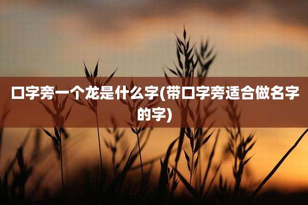 口字旁一个龙是什么字(带口字旁适合做名字的字)