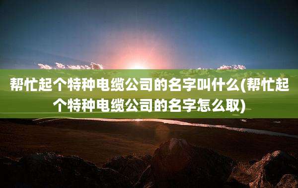 帮忙起个特种电缆公司的名字叫什么(帮忙起个特种电缆公司的名字怎么取)