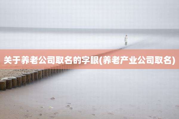 关于养老公司取名的字眼(养老产业公司取名)