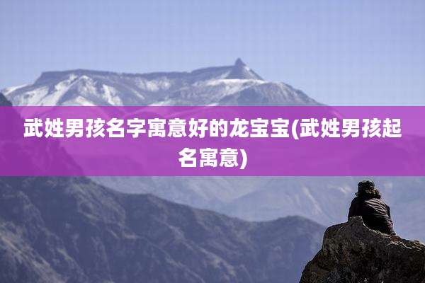 武姓男孩名字寓意好的龙宝宝(武姓男孩起名寓意)