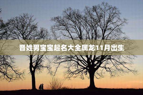 晋姓男宝宝起名大全属龙11月出生