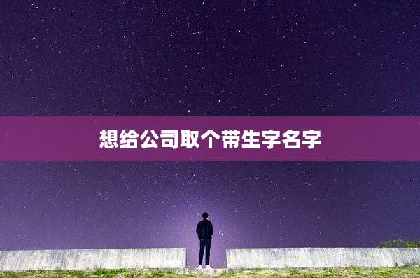 想给公司取个带生字名字