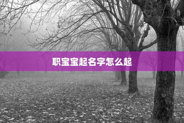 职宝宝起名字怎么起