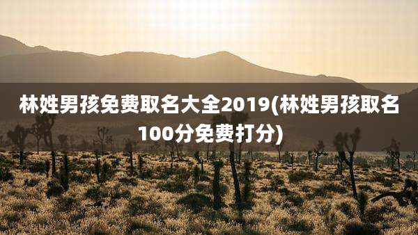 林姓男孩免费取名大全2019(林姓男孩取名100分免费打分)