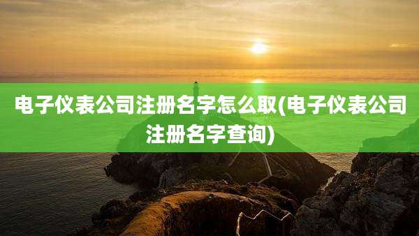 电子仪表公司注册名字怎么取(电子仪表公司注册名字查询)