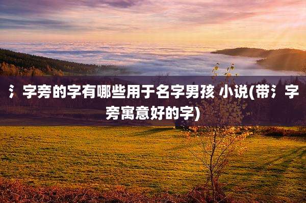 氵字旁的字有哪些用于名字男孩 小说(带氵字旁寓意好的字)