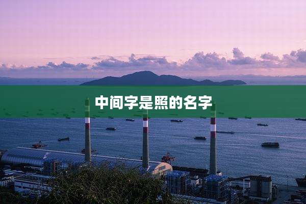 中间字是照的名字