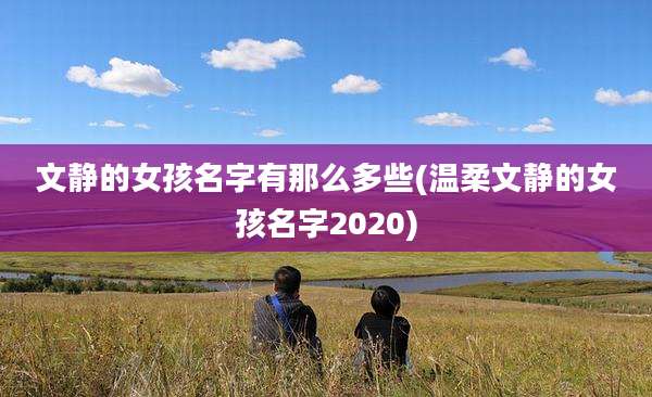 文静的女孩名字有那么多些(温柔文静的女孩名字2020)