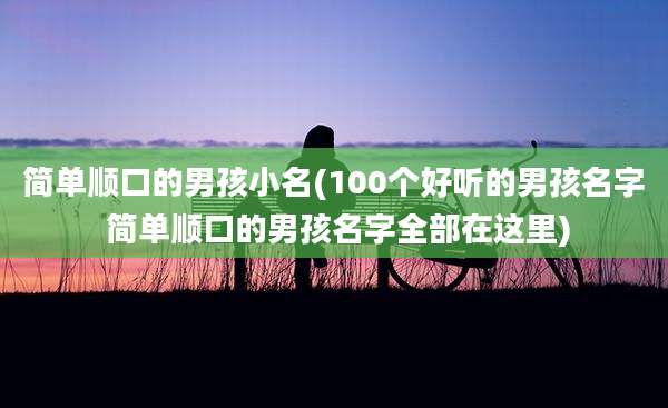 简单顺口的男孩小名(100个好听的男孩名字 简单顺口的男孩名字全部在这里)
