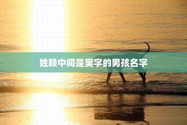 姓赖中间是奥字的男孩名字