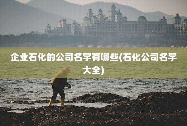 企业石化的公司名字有哪些(石化公司名字大全)