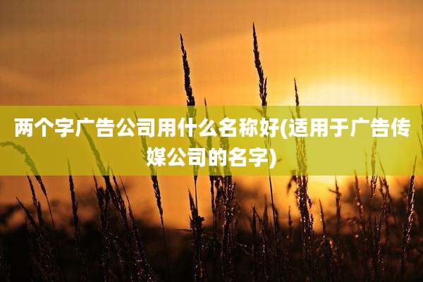 两个字广告公司用什么名称好(适用于广告传媒公司的名字)