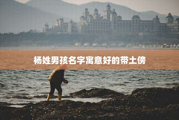 杨姓男孩名字寓意好的带土傍