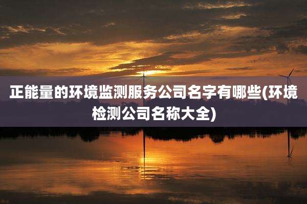 正能量的环境监测服务公司名字有哪些(环境检测公司名称大全)