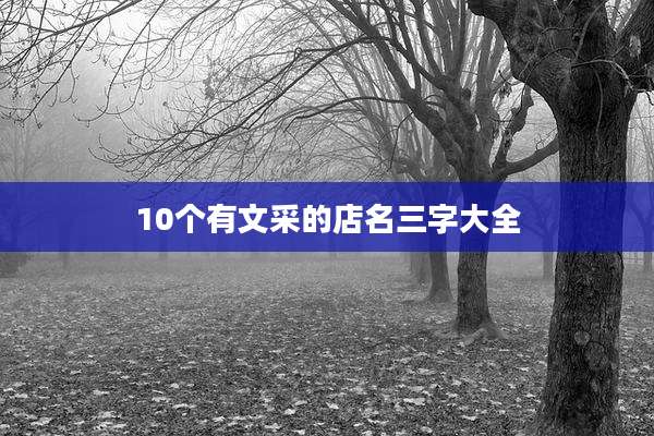 10个有文采的店名三字大全