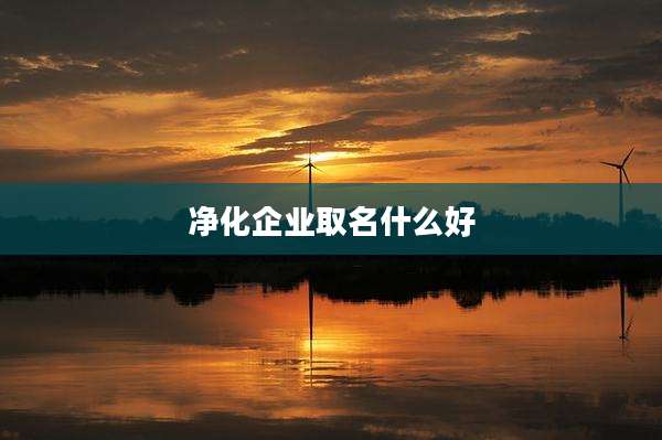 净化企业取名什么好