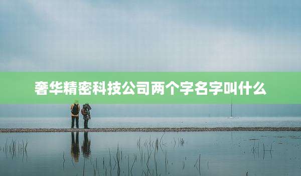 奢华精密科技公司两个字名字叫什么