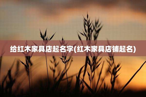 给红木家具店起名字(红木家具店铺起名)