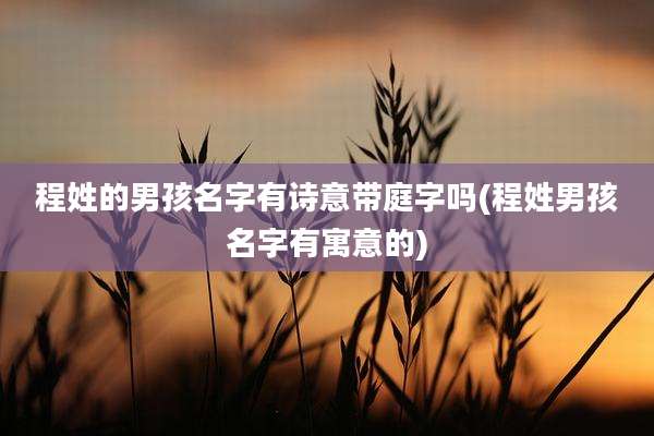 程姓的男孩名字有诗意带庭字吗(程姓男孩名字有寓意的)