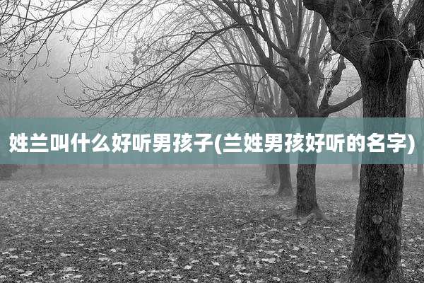 姓兰叫什么好听男孩子(兰姓男孩好听的名字)