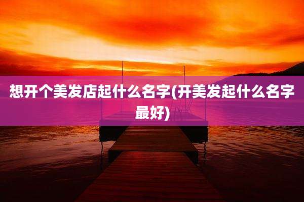 想开个美发店起什么名字(开美发起什么名字最好)