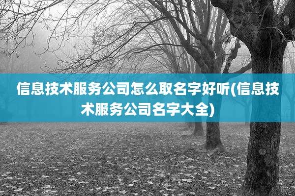 信息技术服务公司怎么取名字好听(信息技术服务公司名字大全)