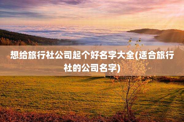 想给旅行社公司起个好名字大全(适合旅行社的公司名字)