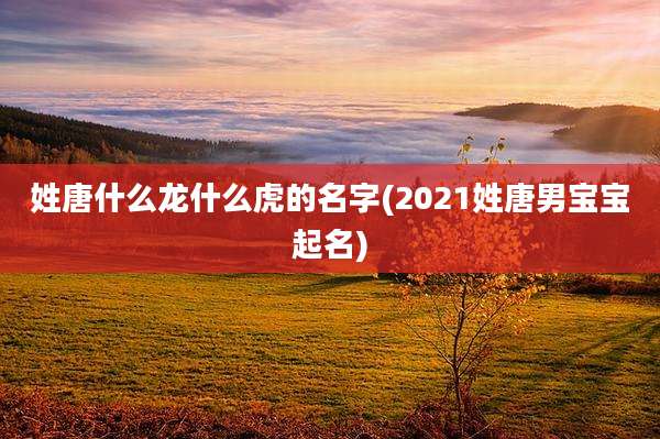 姓唐什么龙什么虎的名字(2021姓唐男宝宝起名)