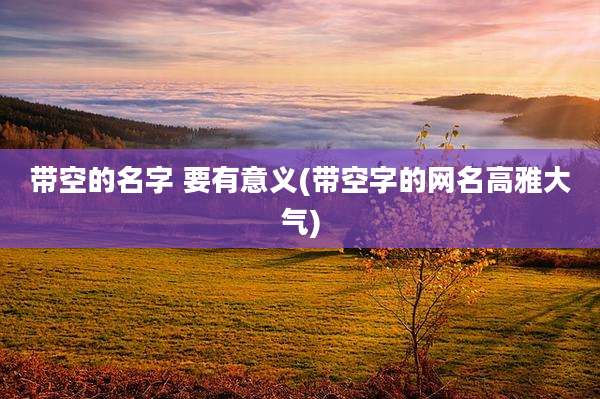 带空的名字 要有意义(带空字的网名高雅大气)