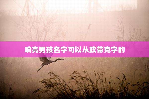 响亮男孩名字可以从政带克字的