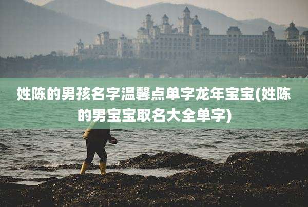 姓陈的男孩名字温馨点单字龙年宝宝(姓陈的男宝宝取名大全单字)