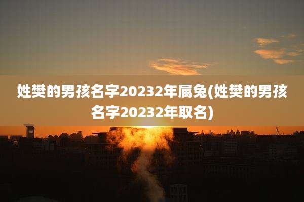 姓樊的男孩名字20232年属兔(姓樊的男孩名字20232年取名)