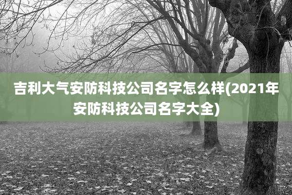 吉利大气安防科技公司名字怎么样(2021年安防科技公司名字大全)
