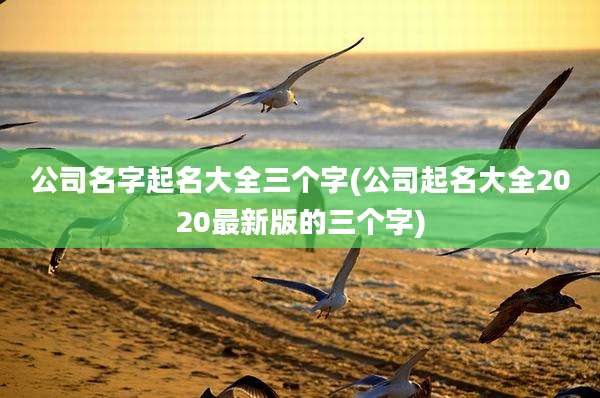 公司名字起名大全三个字(公司起名大全2020最新版的三个字)