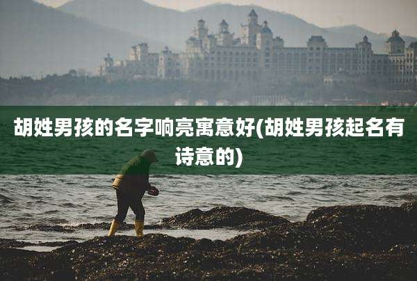胡姓男孩的名字响亮寓意好(胡姓男孩起名有诗意的)