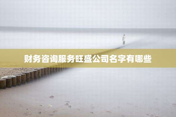 财务咨询服务旺盛公司名字有哪些
