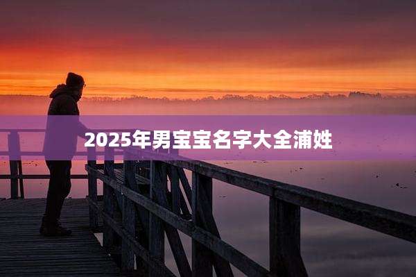 2025年男宝宝名字大全浦姓