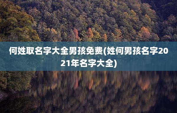 何姓取名字大全男孩免费(姓何男孩名字2021年名字大全)