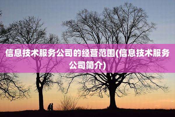 信息技术服务公司的经营范围(信息技术服务公司简介)