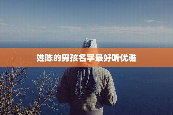 姓陈的男孩名字最好听优雅