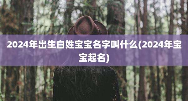2024年出生白姓宝宝名字叫什么(2024年宝宝起名)