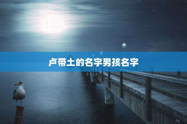 卢带土的名字男孩名字